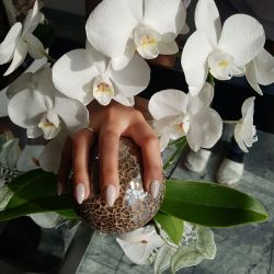 IMG_20171007_115633_154